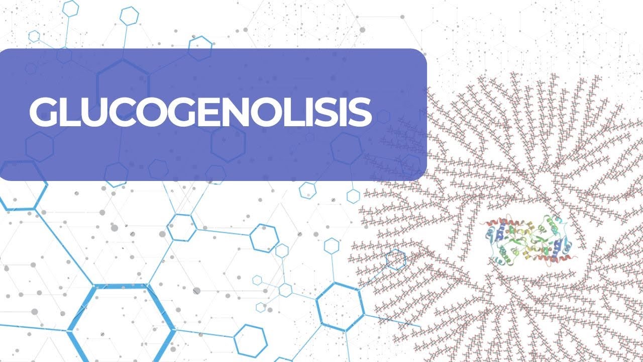 Degradación de Glucógeno a Glucosa