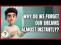 Why Do We Forget Our Dreams Almost Instantly?