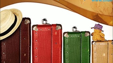 Family On Vacation Travel PowerPoint Templates Themes And Backgrounds ppt themes