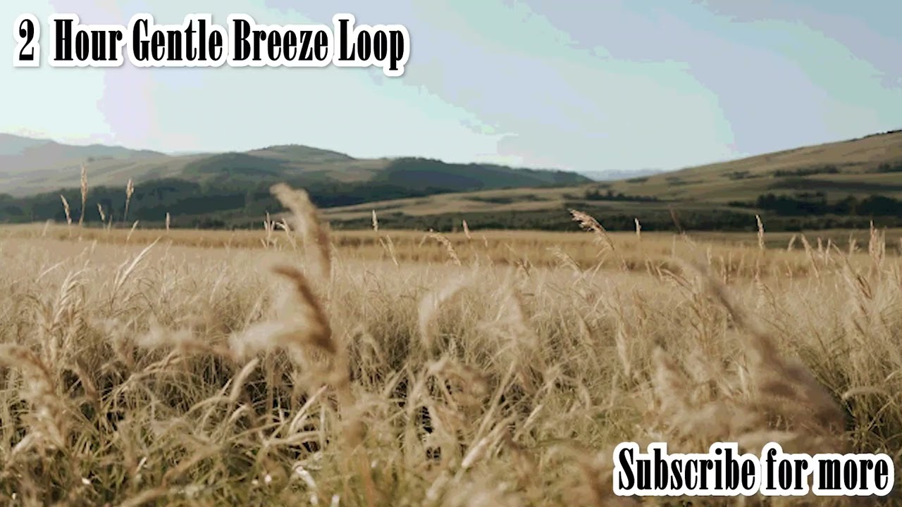 2 Hour Light Breeze Sounds • Deep Sleep, Focus & Study Ambience 💨