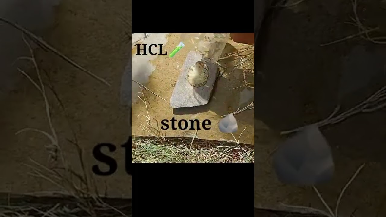 HCL 🧪 react with Stone 🪨 in summer
