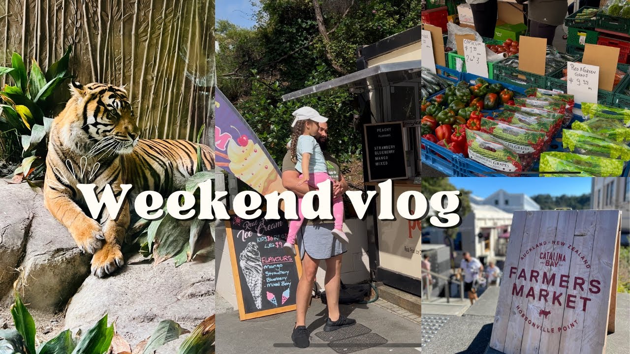 Видеоблог выходного дня | Зоопарк Окленда и фермерский рынок залива Каталина | Южноафриканцы в Но...