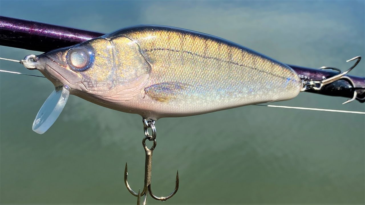 Making a Walleye CrankBait YouTube