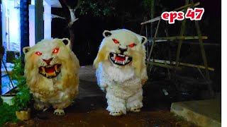 Penampakan Macan Putih Singo Raung Di Malam Hari Eps 47