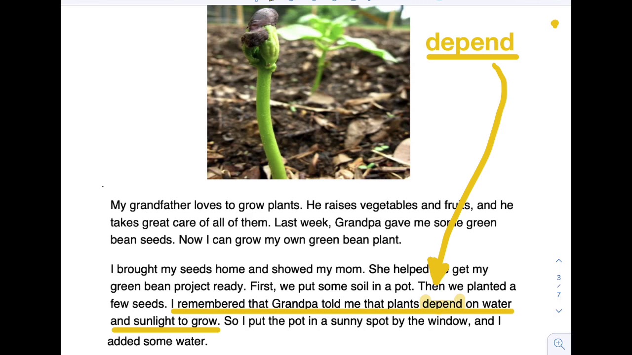 Read Aloud ELA 1 May Packet The Bean Plant YouTube