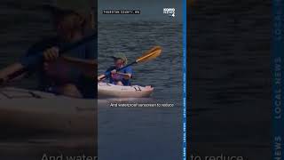 Thurston County health officials issue warning after swimmer’s itch reported at Clear Lake