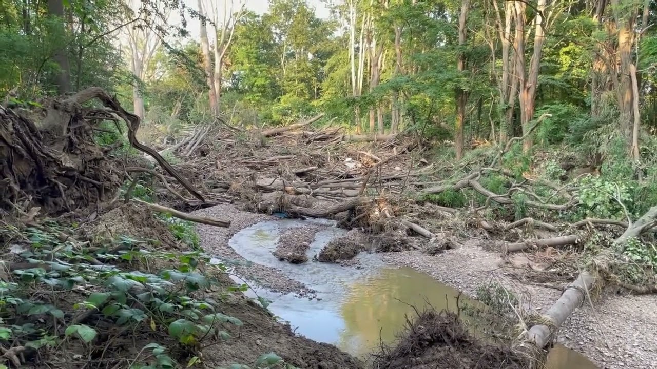 Juli 2021, Steinbachtalsperre und Odendorf