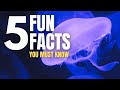 5 MOON JELLYFISH Fun Facts To WoW your friends!