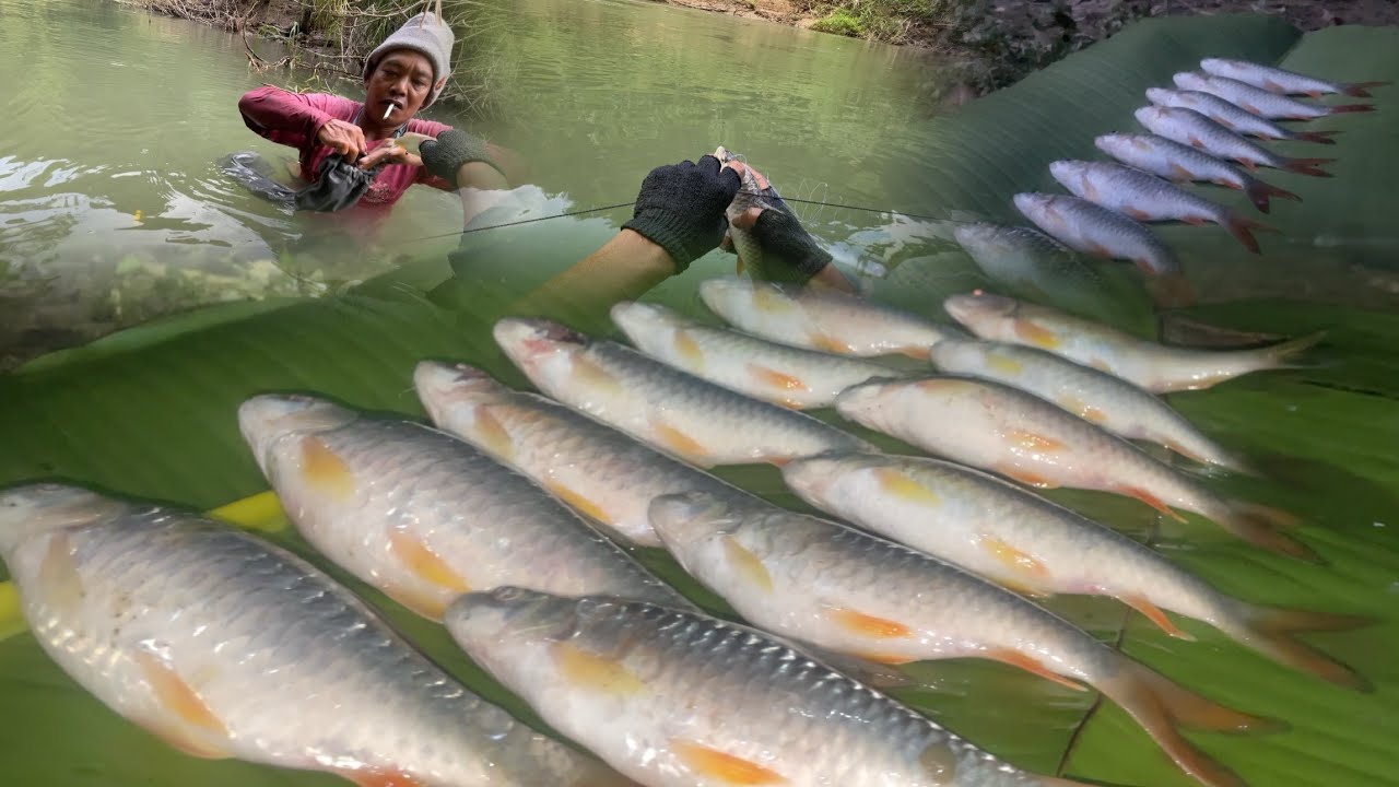 Kawng kan bo nasa hle,Lenkhang zar hmuhnawm