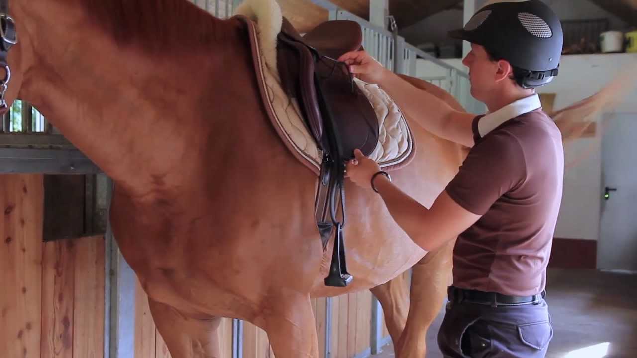 Sportangebot für Studierende am Umwelt-Campus - Reiten