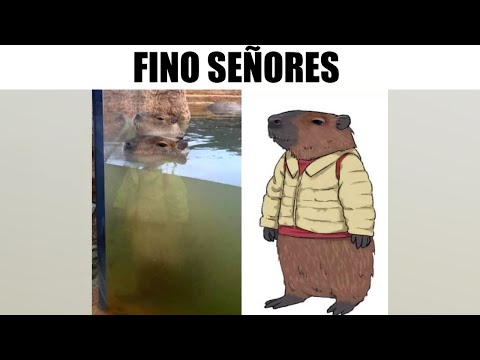 fino señores : r/fino