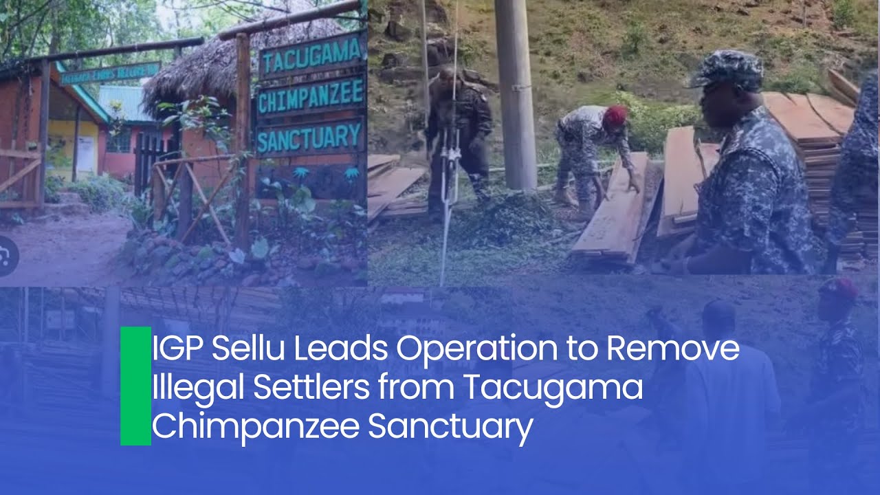 Генеральный инспектор полиции Селлу возглавляет операцию по выселению незаконных поселенцев из за...