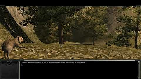 Divinity II: Developer