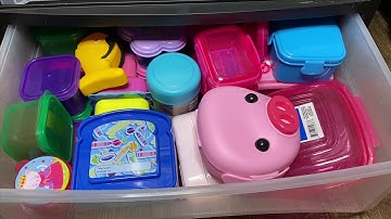 KIDS SCHOOL LUNCH PLUS STORAGE IDEAS