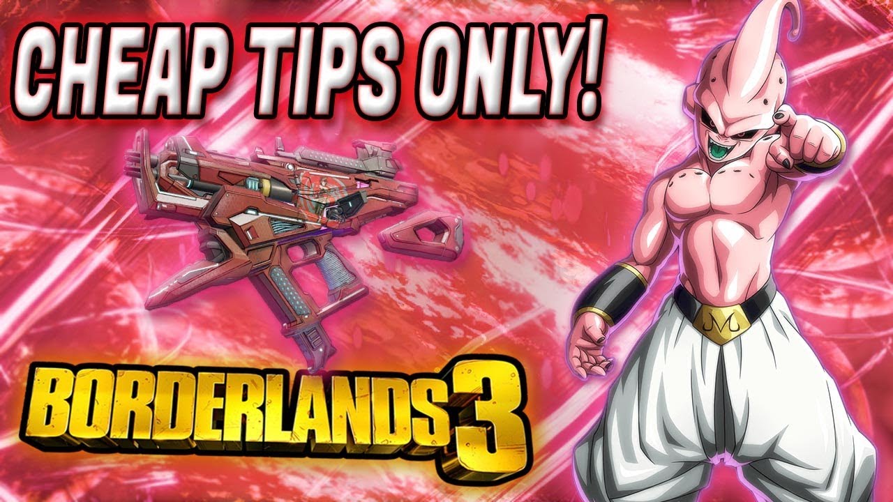CHEAP TIPS ONLY Takedown Solo! Borderlands 3 Gamma FL4K Cheap Tips Only Solo Maliwan Takedown Raid