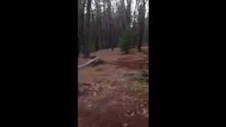 Great Debate: 2 stroke vs 4 stroke
