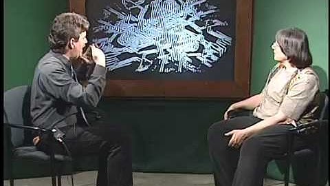 The Art of Video Feedback