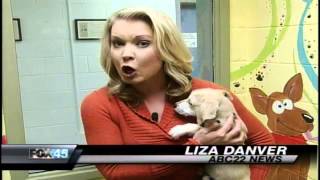Ohio House May Vote on Puppy Mill Bill Wednesday