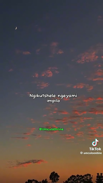 Lalelindaba full lyrics 🇿🇦 #music #duet #song