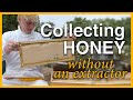 Beginning Beekeeping: Collecting Honey Without Extractor - GSB S1 E4