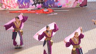 4K] Suzaku YOSAKOI Soran Festival 2026 Saturday Sapporo Garden