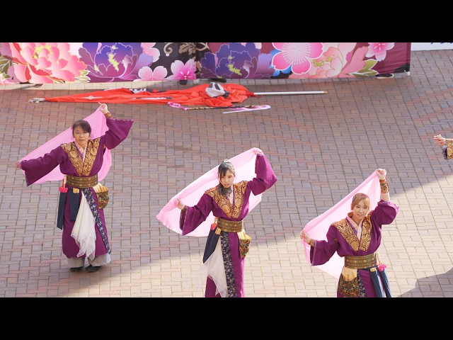 4K] Suzaku YOSAKOI Soran Festival 2026 Saturday Sapporo Garden
