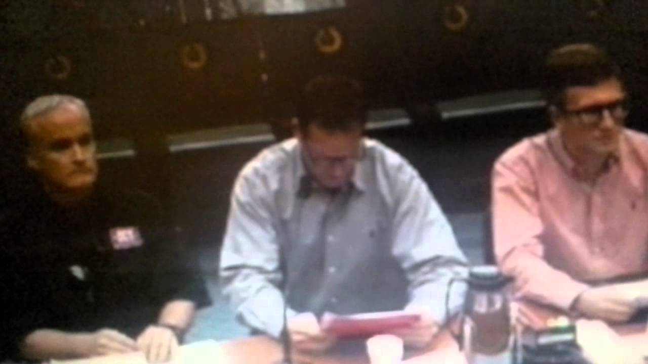 84th Texas State Senate Committee SB17 Open Carry SB 11 Campus Carry Gun Rights Testimony