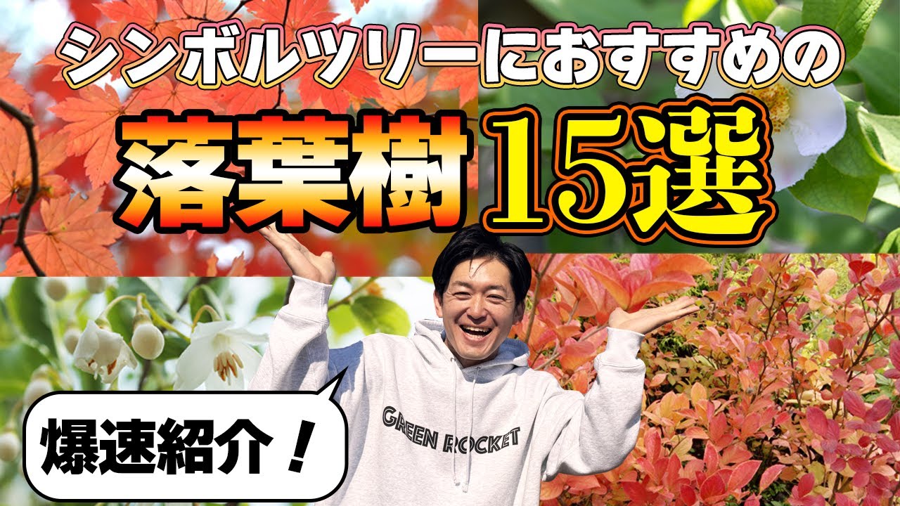 030102 Final confirmation - YouTube