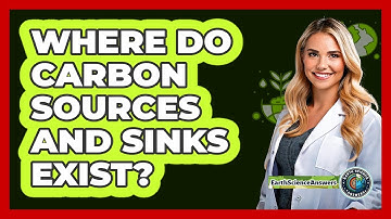 Where Do Carbon Sources And Sinks Exist?