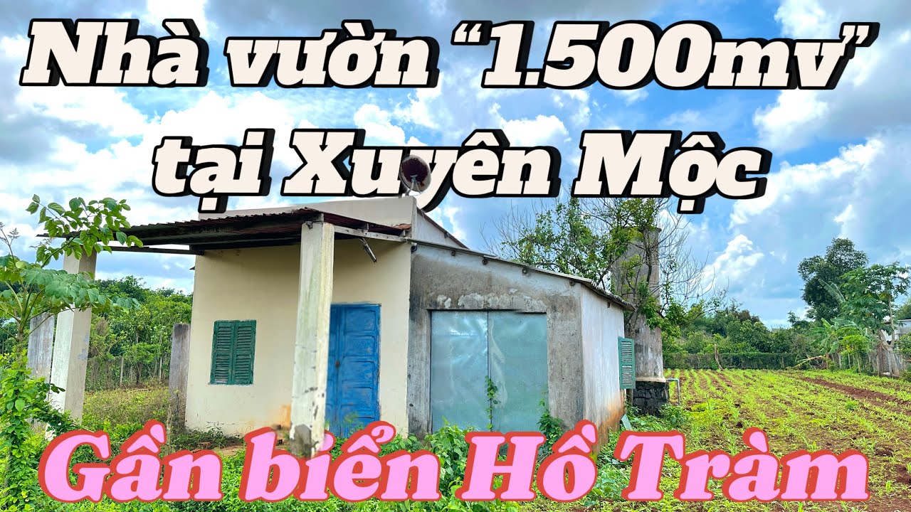 #477 Tiếc nuối bán nhà vườn KDC đông Xuyên Mộc | Cách Biển Hồ Tràm 15km | Giá chuyển nhượng 2 tỷ 9