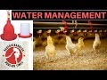 WATER MANAGEMENT in Broiler poultry Farming