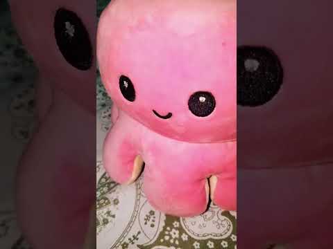 Eu escrevi o seu nome nesse papel