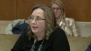 Sonja Stojanović Gajić Bezbednosni Aspekti Normalizacije 31 03 2018