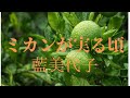 素晴らしい曲と素敵な歌声に感動です!🍊 ♪ミカンが実る頃 藍美代子 [ HD ]