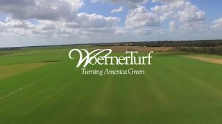 Woerner Turf Grass