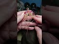 Making a Tree-of-life Pendant (Number 261) with Assorted Crystals - Tulip Inspired