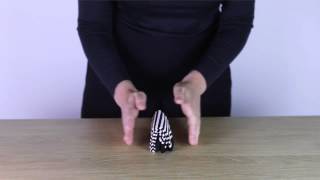 How to fold socks the Marie Kondo way