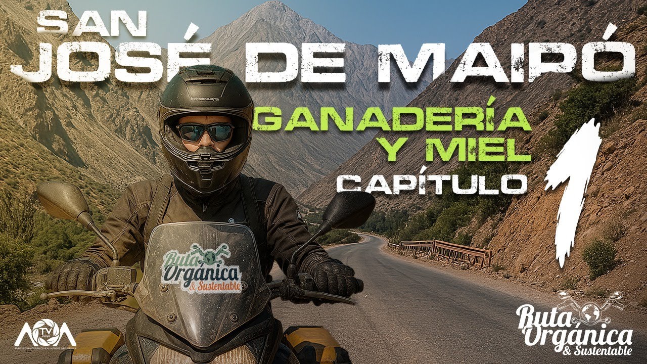 🏍️ Ruta Orgánica en Moto – Capítulo 1 de 2: San José de Maipo, donde la tierra respira historia