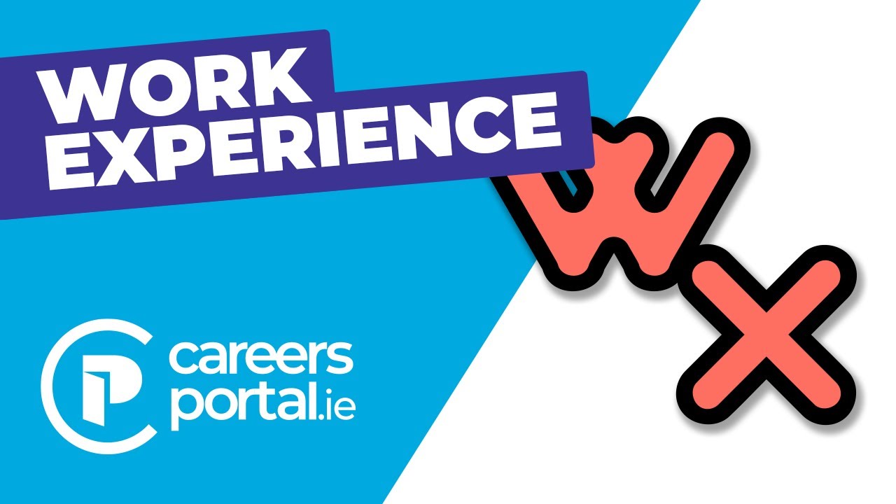 MyFuture+ Work exp portfolio app from CareersPortal.ie YouTube