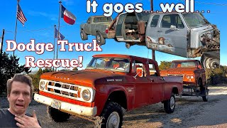 Abandoned OLD Trucks! Can we save them all??