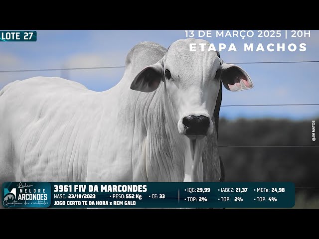 LOTE 27   MMAR 3961