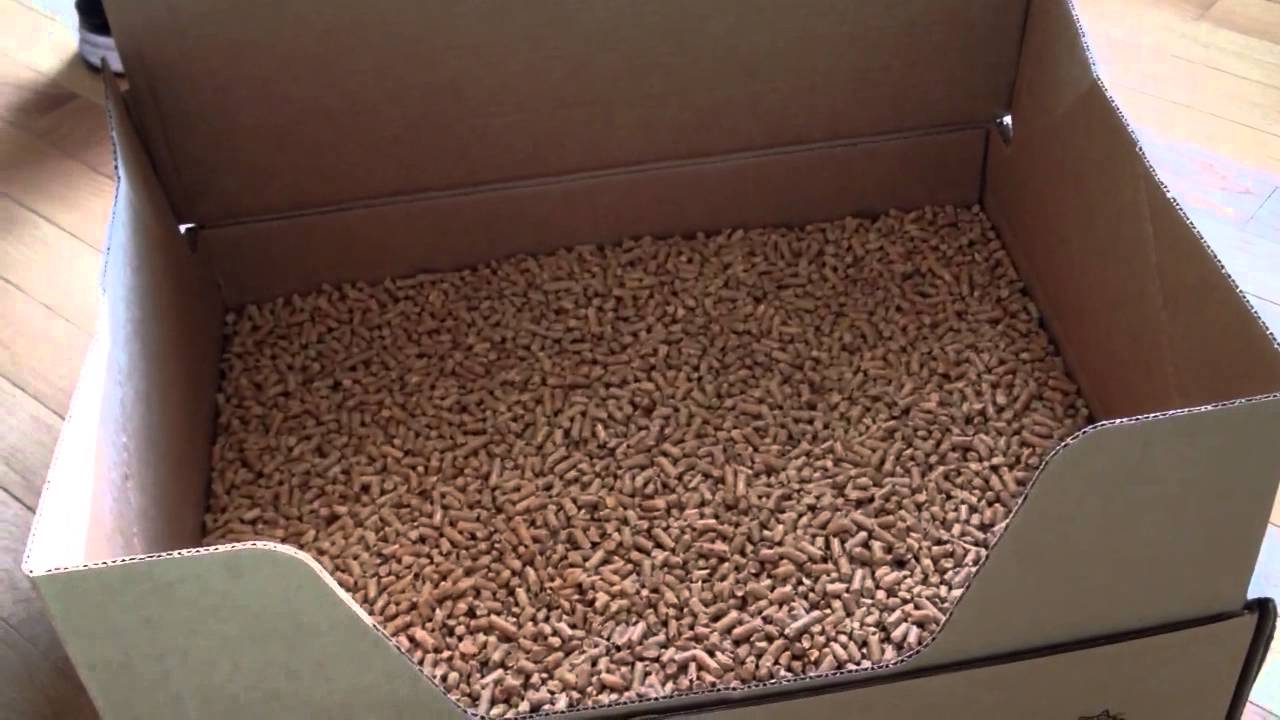 Litter One product review, video 2 YouTube