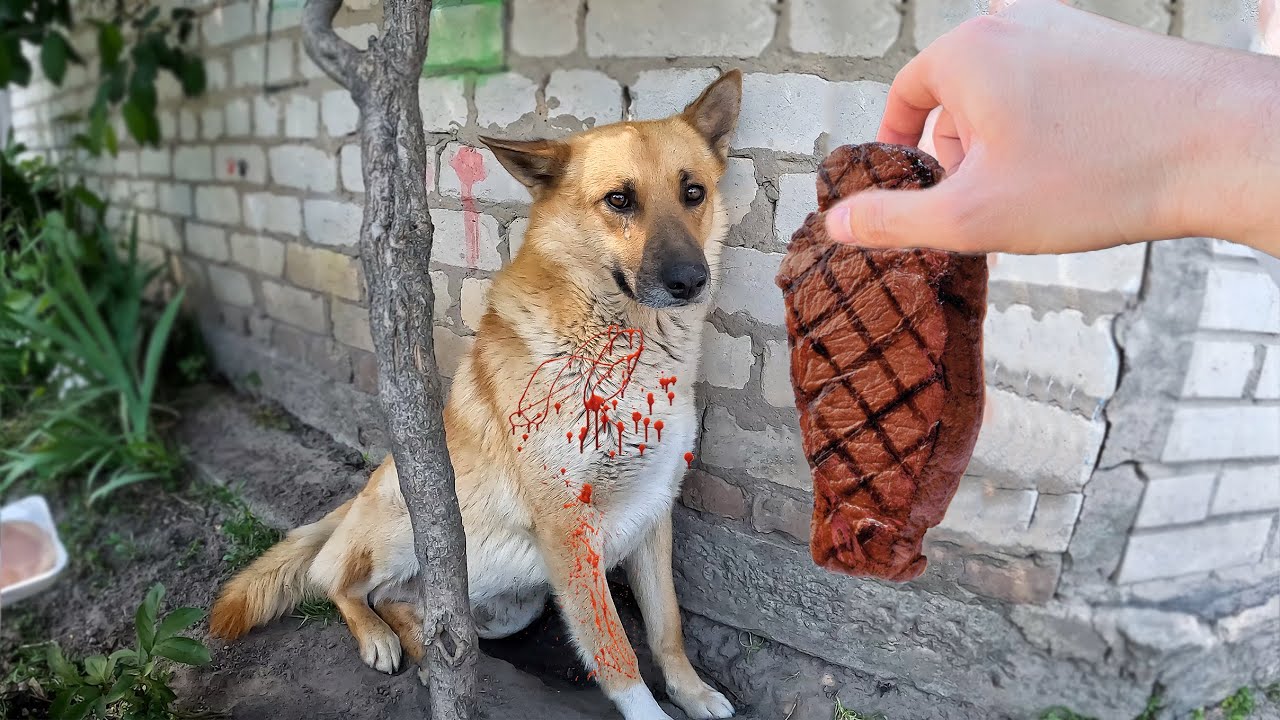 🐉 Кормим Беззубика и решаем драконьи головоломки 🤩 Мастерим крутую игровую книгу