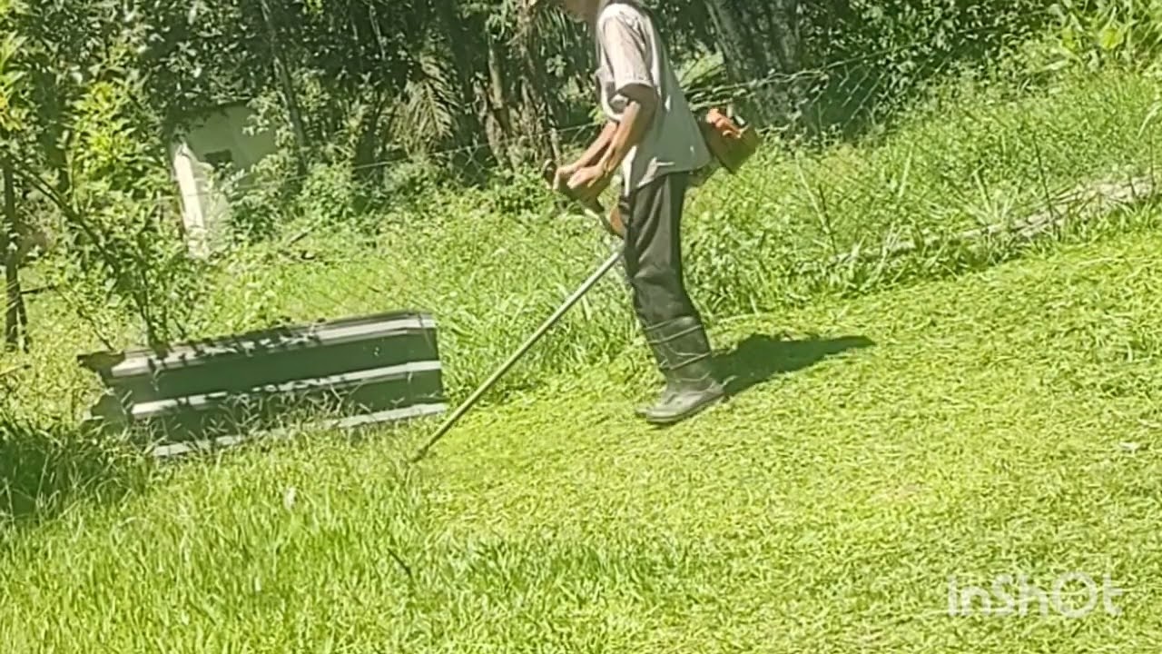 Trabalho concluído/limpeza satisfatória de quintal sítio corte de grama 🌿🌱💚🌼