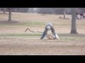 Clever Dog Plays Dead To Stay At The Park Longer