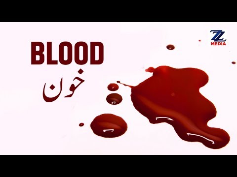 Components Of Blood Meaning In Urdu