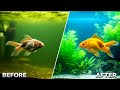 “Goldfish Rescue | Dirty Tank Cleaning & Aquarium Transformation”