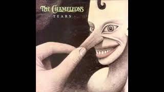 The Chameleons - Tears