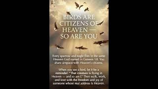 The Winged Citizens Already Sharing Your Airspace Right Now (Lesson 4 of 7)