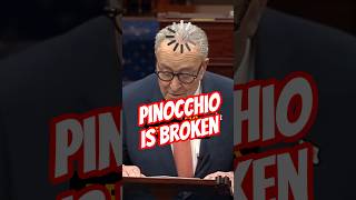 Celebrity Chuck Schumer's Senate Floor Blunder! 🤥 Net Worth